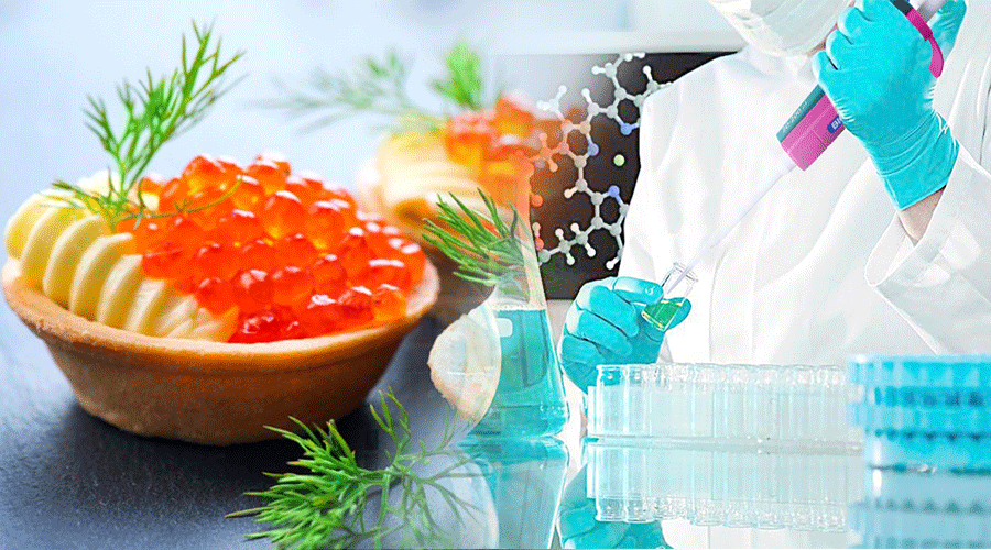 吃貨裝逼指南 | 如何在實(shí)驗室做一道奢侈的分子料理